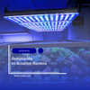 Capítulo 24: Iluminación en Acuarios Marinos: Clave para el Crecimiento y Coloración de los Corales