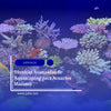 Capítulo 16: Técnicas Avanzadas de Aquascaping para Acuarios Marinos