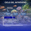 Capítulo 23: Ciclo del Nitrógeno y Control de Parámetros en Acuarios Marinos