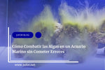 Capítulo 28: Cómo Combatir las Algas en un Acuario Marino sin Cometer Errores