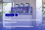 Capítulo 30: Cómo montar un acuario marino desde cero: guía completa