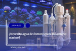 Capítulo 37: ¿Necesito agua de ósmosis para mi acuario marino?