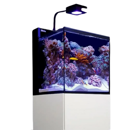 Acuario Red Sea Max Nano G2 XLcon diseño sin marco y vidrio ultra claro de 8 mm.