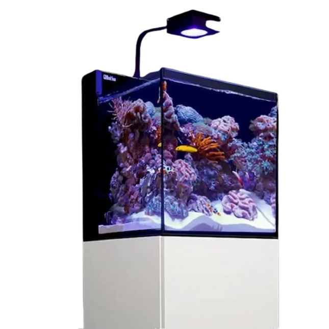 Acuario Red Sea Max Nano G2 XLcon diseño sin marco y vidrio ultra claro de 8 mm.