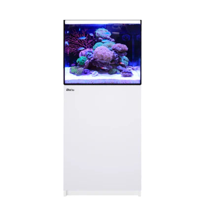 Acuario marino Red Sea REEFER 200 G3 de 200 litros con sump integrado, mueble de madera marina y sistema ATO, sin equipamiento adicional.