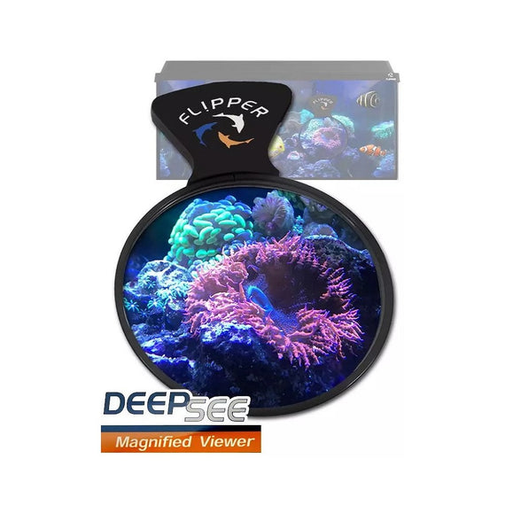 DeepSee Viewer FLIPPER 4