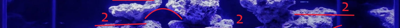Capítulo 16: Técnicas Avanzadas de Aquascaping para Acuarios Marinos