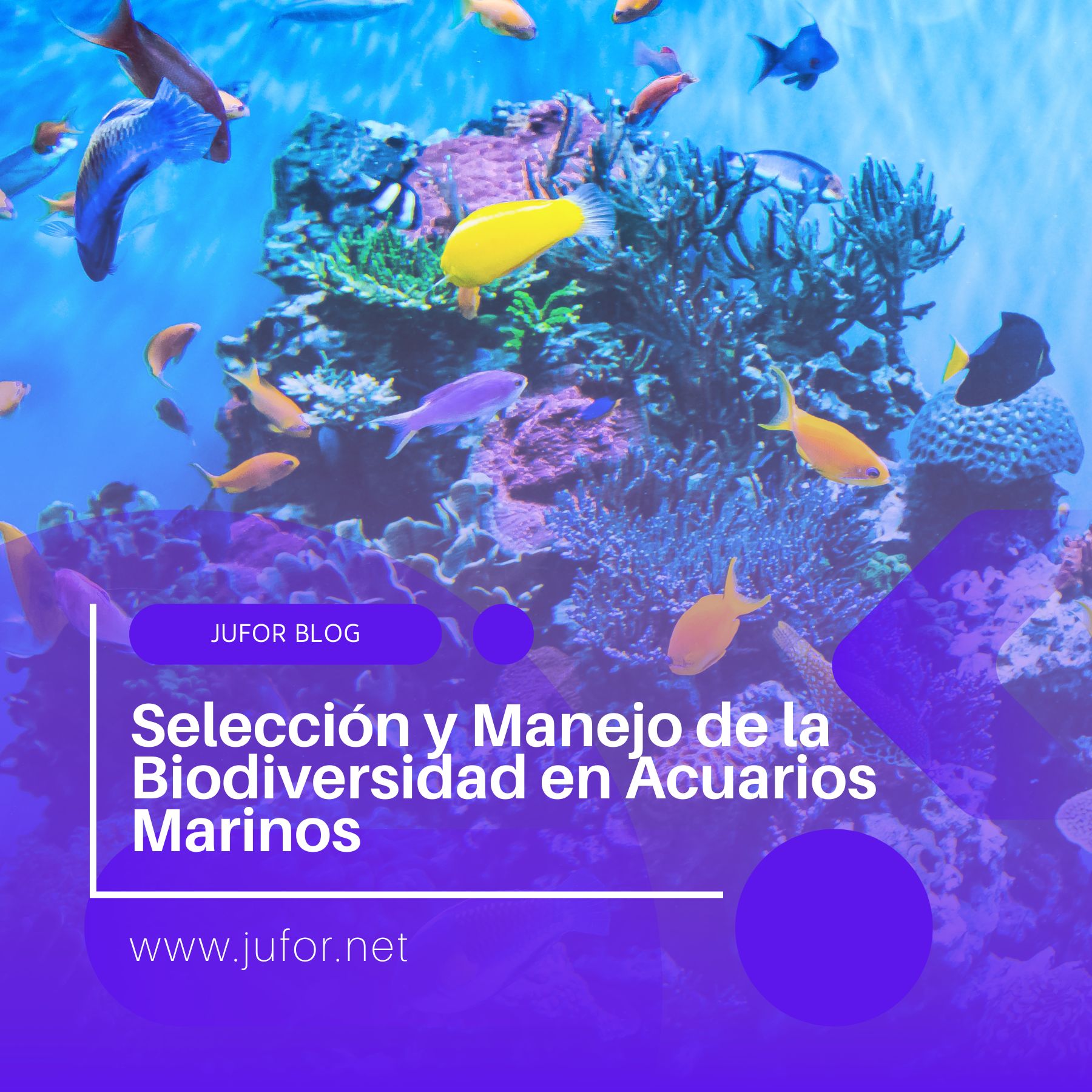 Capítulo 19: Selección y Manejo de la Biodiversidad en Acuarios Marinos