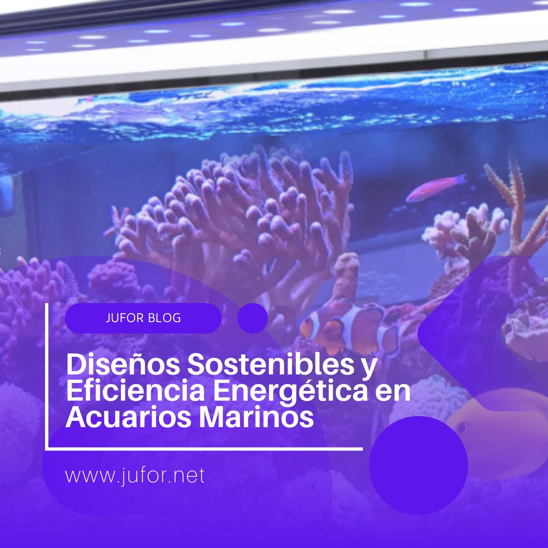 Capítulo 18: Diseños Sostenibles y Eficiencia Energética en Acuarios Marinos