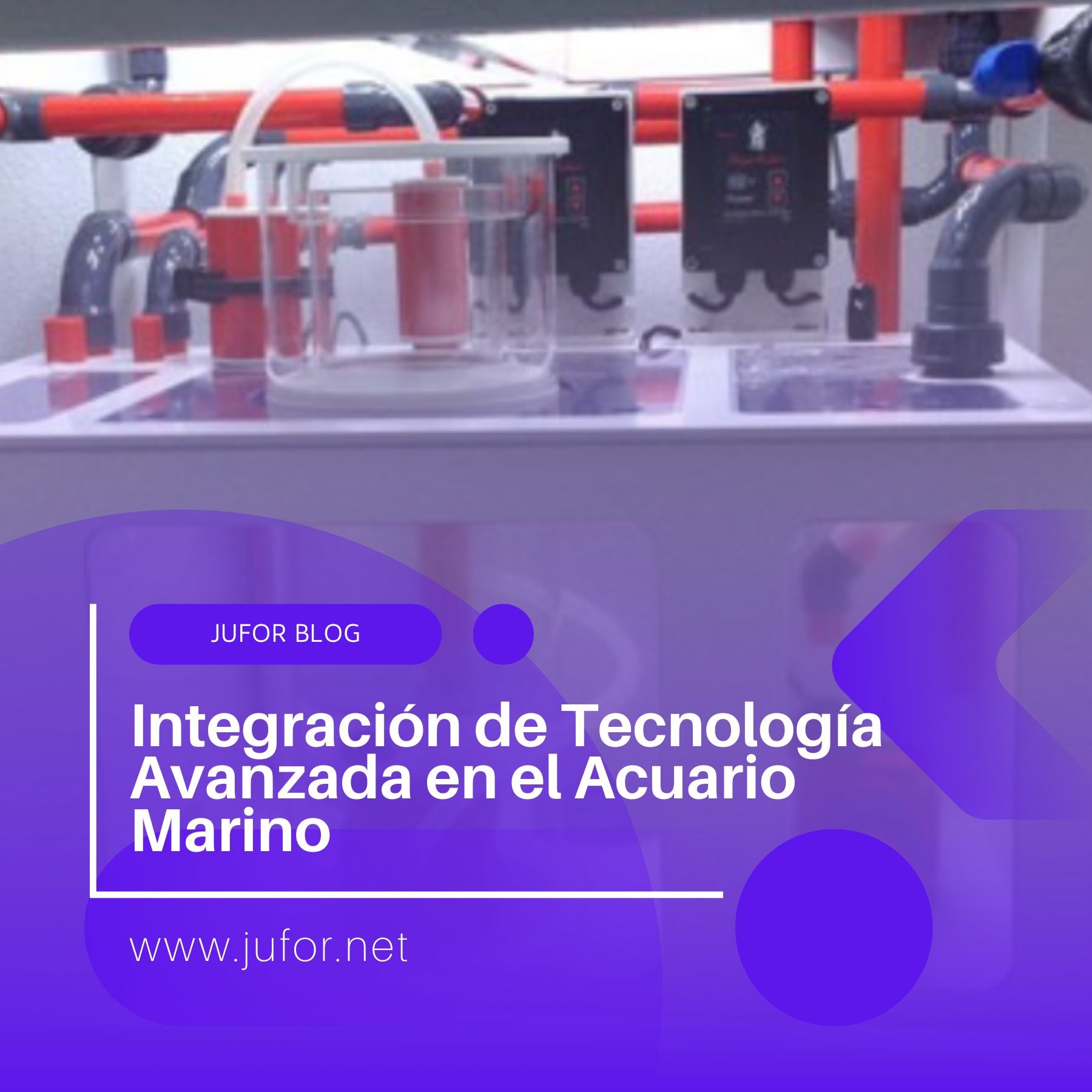 Capítulo 17: Integración de Tecnología Avanzada en el Acuario Marino