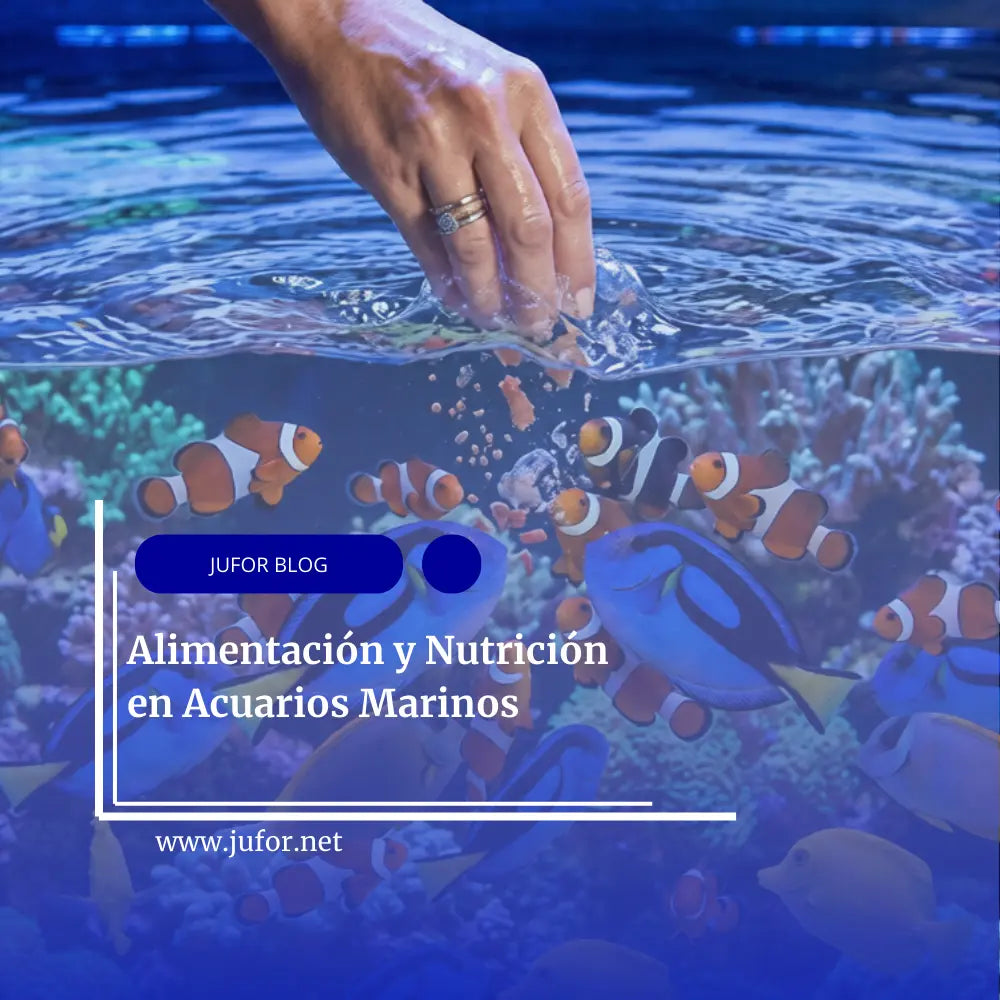 Capítulo 22: Alimentación y Nutrición en Acuarios Marinos