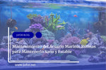 Capítulo 29: Mantenimiento del Acuario Marino: Rutinas para Mantenerlo Sano y Estable