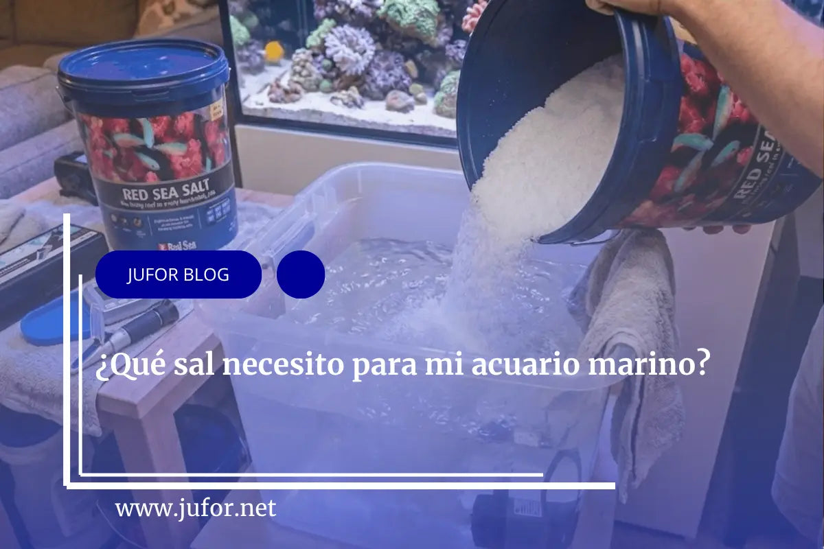 Capítulo 36: ¿Qué sal necesito para mi acuario marino?