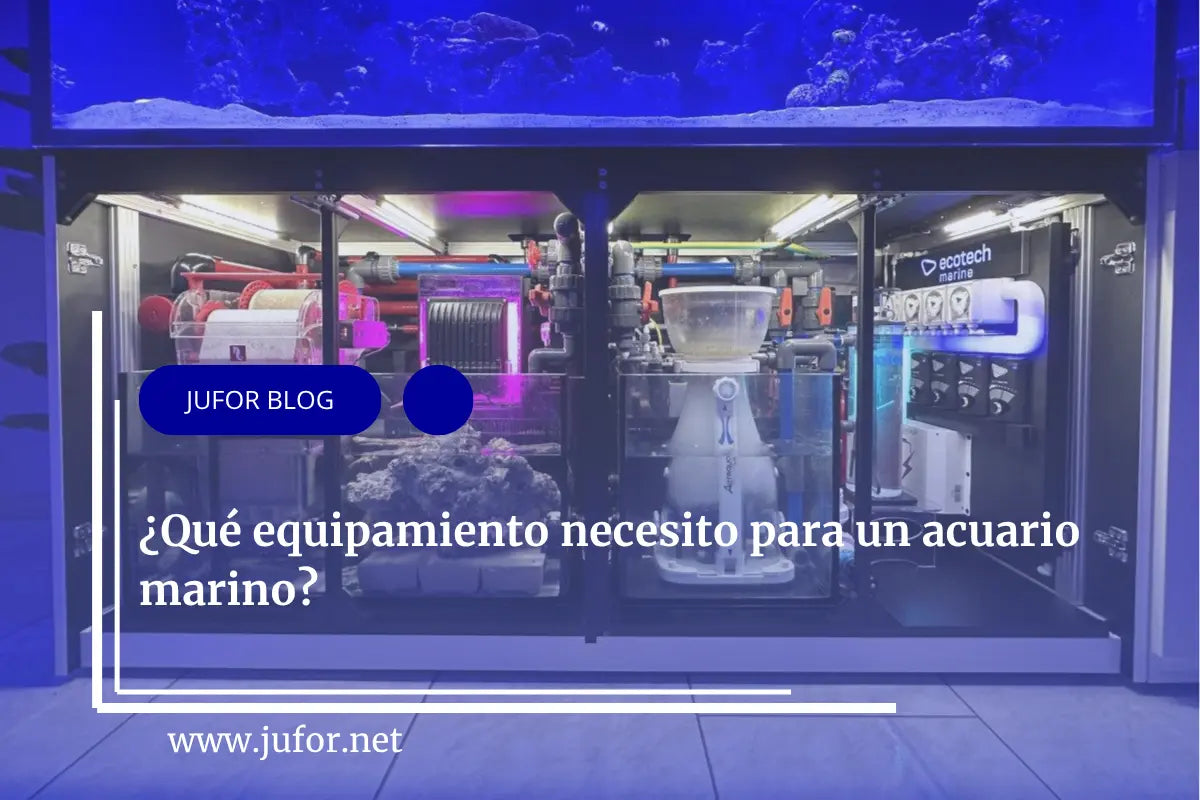 Capítulo 31: ¿Qué equipamiento necesito para un acuario marino?