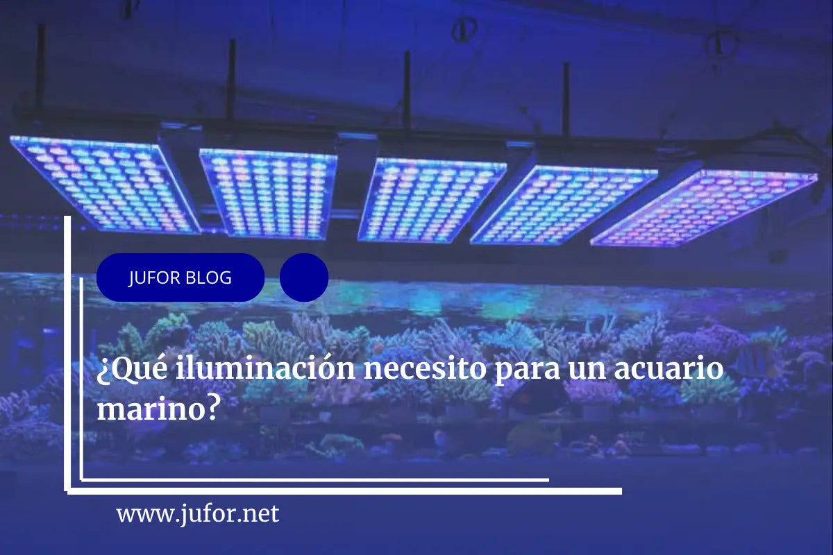 Capítulo 32: ¿Qué iluminación necesito para un acuario marino?