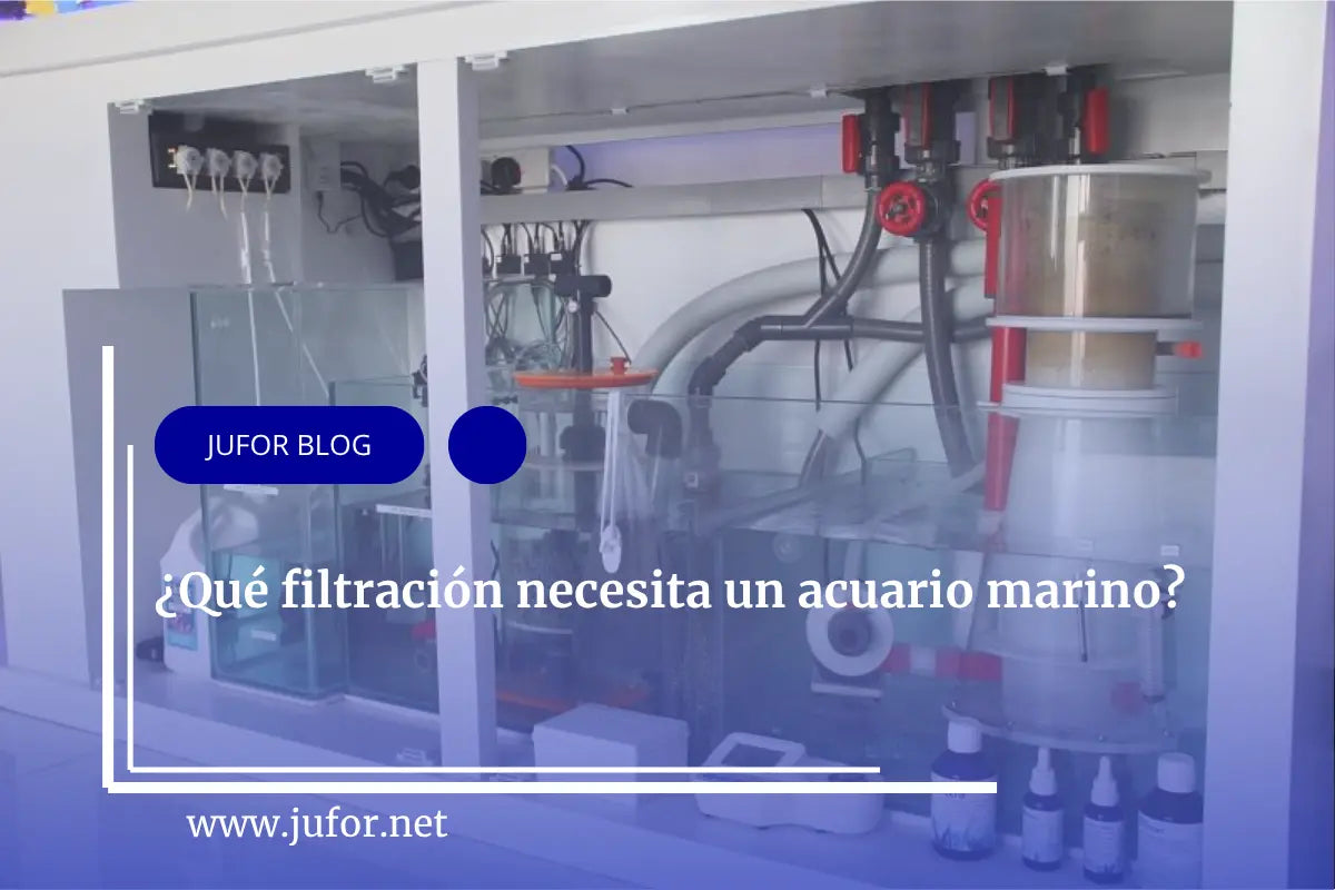 Capítulo 33: ¿Qué filtración necesita un acuario marino?
