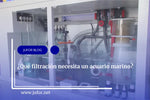 Capítulo 33: ¿Qué filtración necesita un acuario marino?