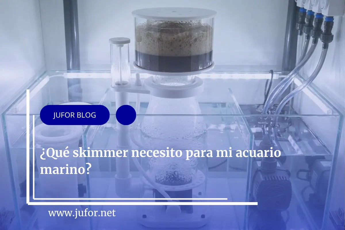 Capítulo 34: ¿Qué skimmer necesito para mi acuario marino?