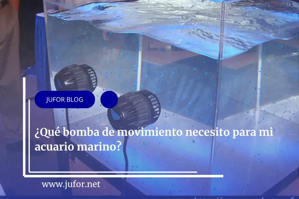 Capítulo 35: ¿Qué bomba de movimiento necesito para mi acuario marino?
