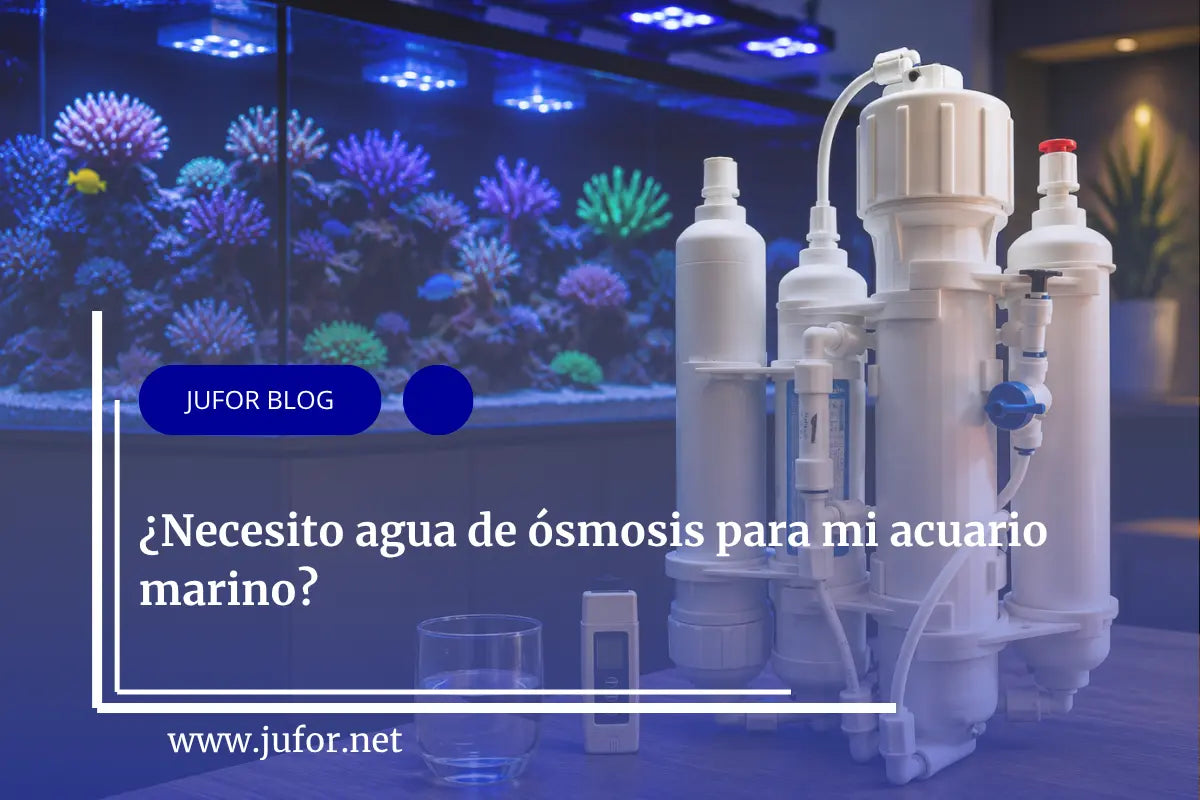 Capítulo 37: ¿Necesito agua de ósmosis para mi acuario marino?
