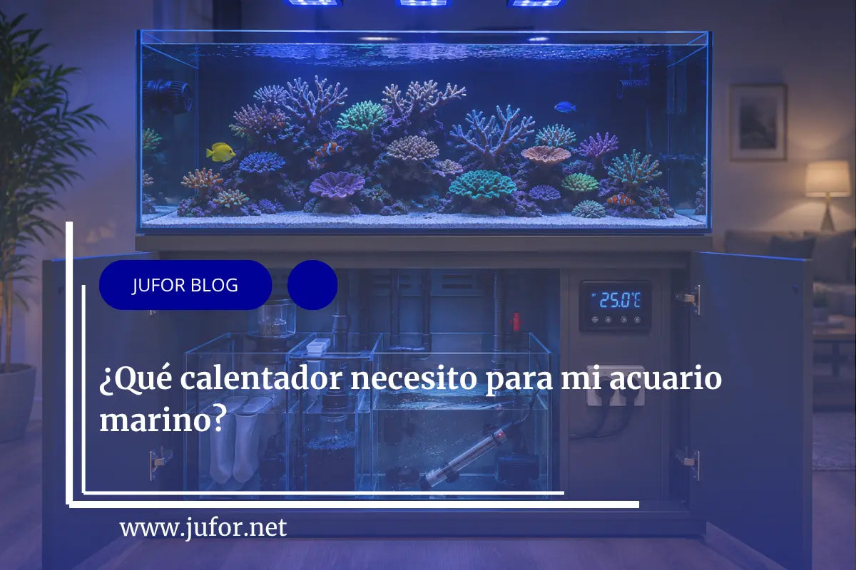 Capítulo 38: ¿Qué calentador necesito para mi acuario marino?