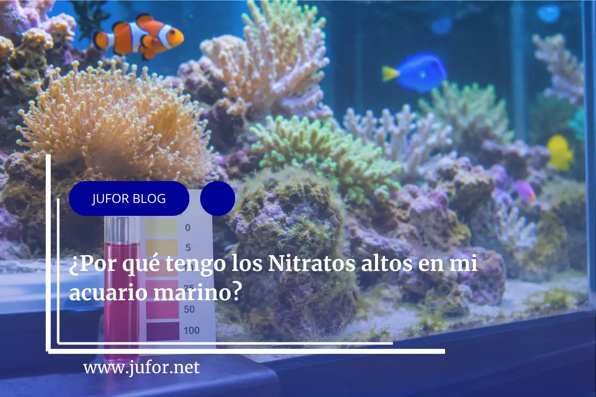 Capítulo 43: ¿Por qué tengo los Nitratos altos en mi acuario marino?