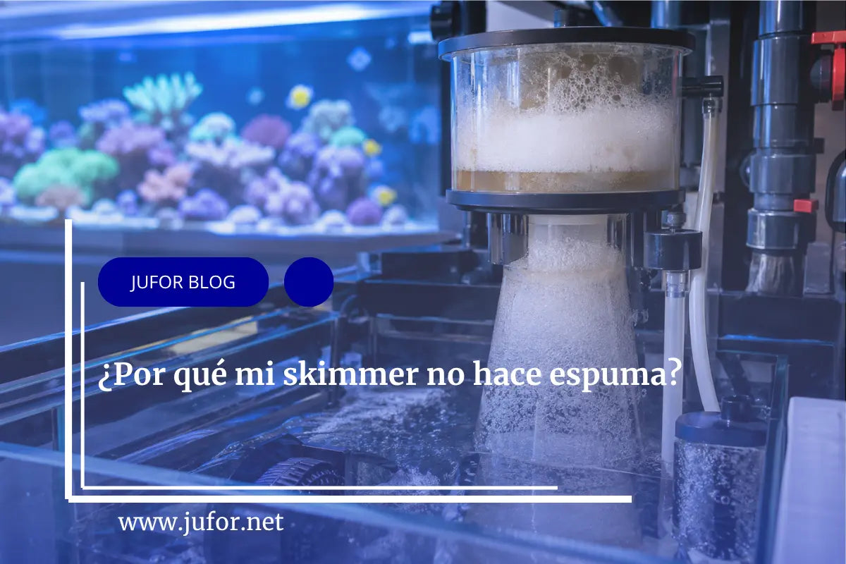 Capítulo 45: ¿Por qué mi skimmer no hace espuma?