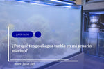 Capítulo 46: ¿Porqué tengo el agua turbia en mi acuario marino?