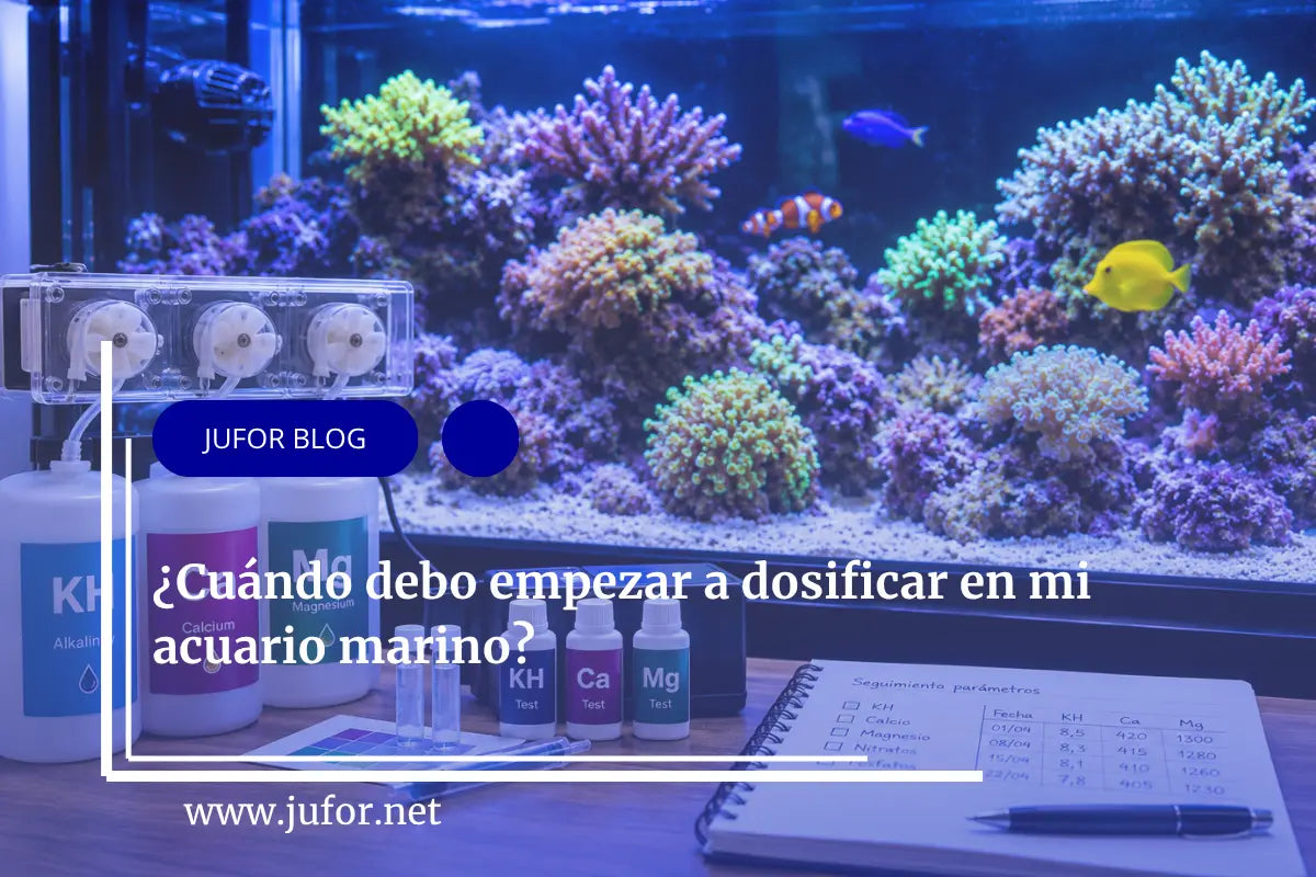Artículo 51: ¿Cuándo debo empezar a dosificar en mi acuario marino?