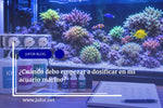 Artículo 51: ¿Cuándo debo empezar a dosificar en mi acuario marino?