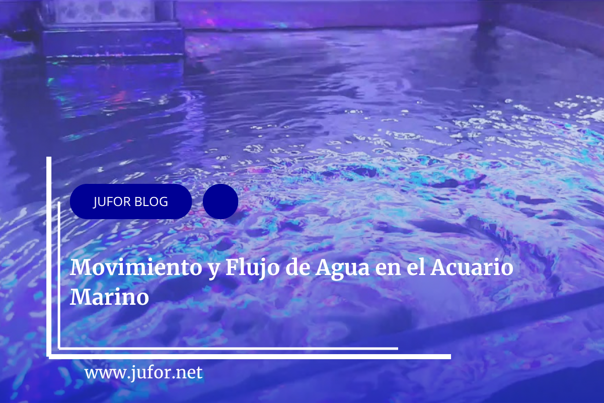 Capítulo 25: Movimiento y Flujo de Agua en el Acuario Marino