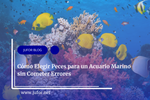 Cómo Elegir Peces para un Acuario Marino sin Cometer Errores