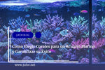 Capítulo 27: Cómo Elegir Corales para un Acuario Marino y Garantizar su Éxito