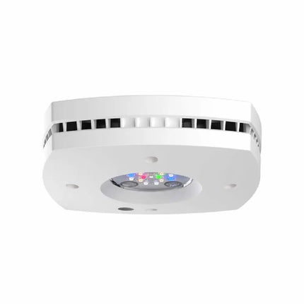 Pantalla LED AI Prime 16 HD (≈55-60 W), formato compacto 12,4 × 12,4 cm, para acuarios marinos con control inteligente y espectro completo.