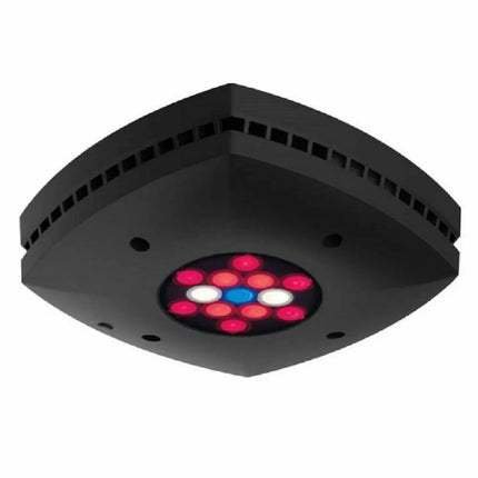 AI Prime Fuge – Pantalla LED para Refugios y Cultivo de Macroalgas en Acuarios