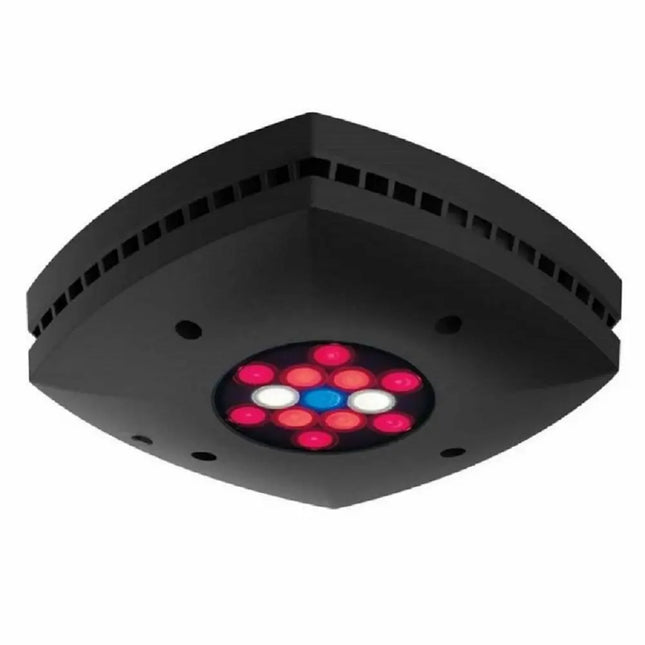 AI Prime Fuge – Pantalla LED para Refugios y Cultivo de Macroalgas en Acuarios