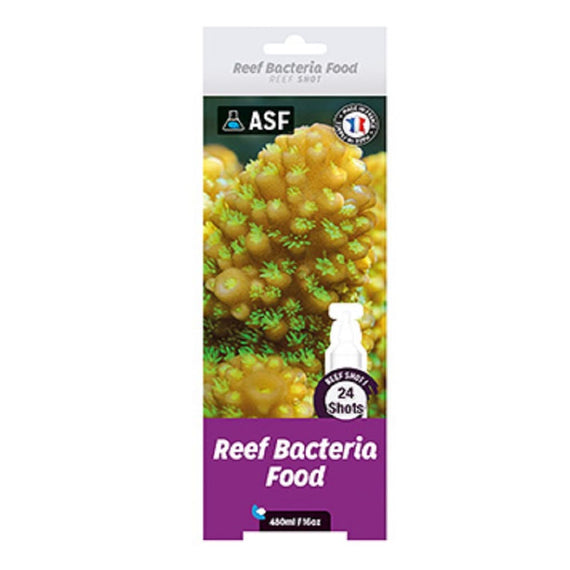 ASF Bacteria Food 24 x 20ml