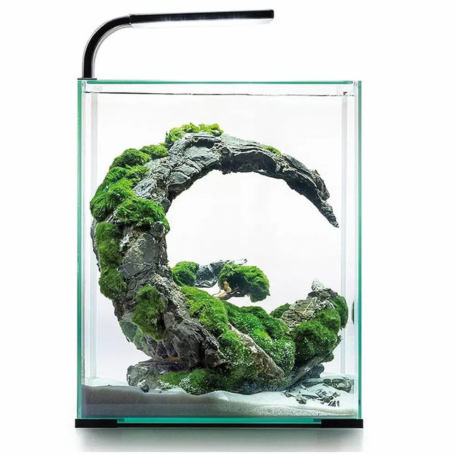 Acuario Aquael Shrimp Set con iluminación LED y filtro para gambas.