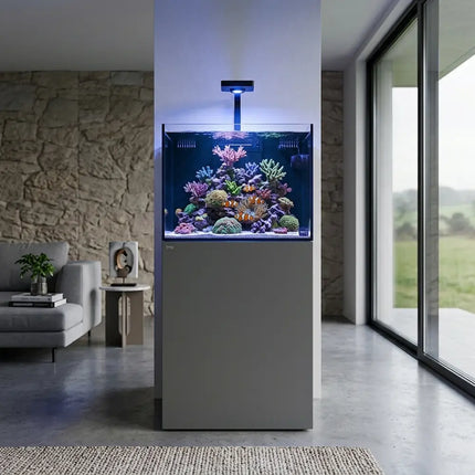 Acuario marino TMC Reef Habitats 60 PRO lleno de vida en un salón moderno