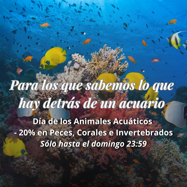 <h2>Image banner</h2>