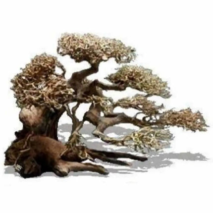 Bonsaqua Bonsai Caída Derecha en madera natural para decoración de acuarios plantados o paisajes acuáticos

