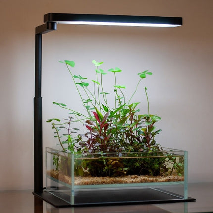 Chihiros CII Series