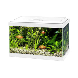 Acuario Completo 17 Litros