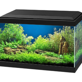 Acuario Completo 17 Litros