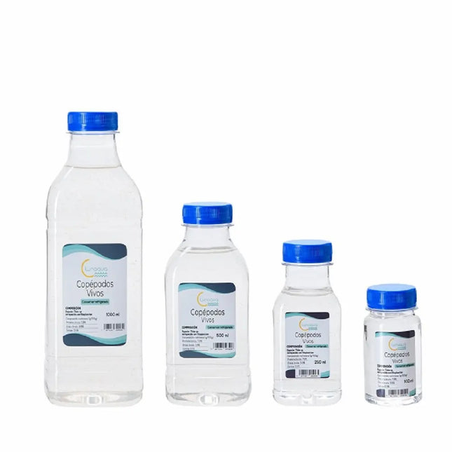 Copépodos vivos Tisbe sp. en botella – alimento bentónico para peces y corales marinos