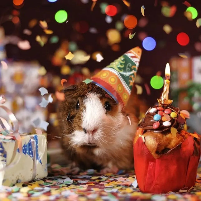 Tarjeta regalo con diseño de cumpleaños y peces tropicales – ideal para aficionados a los acuarios

