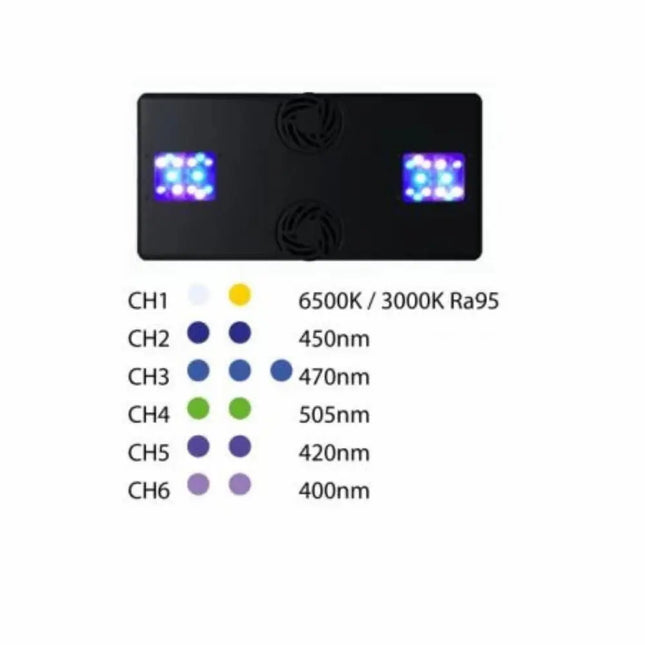 TMC Reef Pulsar LPS 6 – Pantalla LED Reef para Corales LPS y Blandos