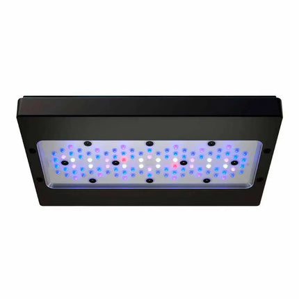 Pantalla LED EcoTech Marine Radion XR30 G6 Pro, diseño compacto y elegante con espectro completo para acuarios marinos grandes con corales SPS y LPS.
