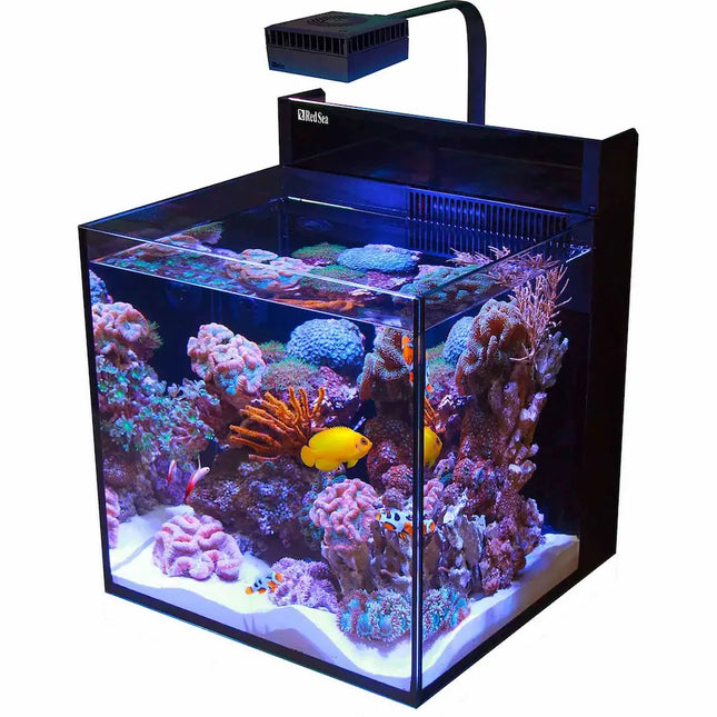 Acuario Red Sea Max Nano G2 XL con diseño sin marco y vidrio ultra claro de 10 mm.