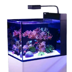 Con Reef LED, sin mesa